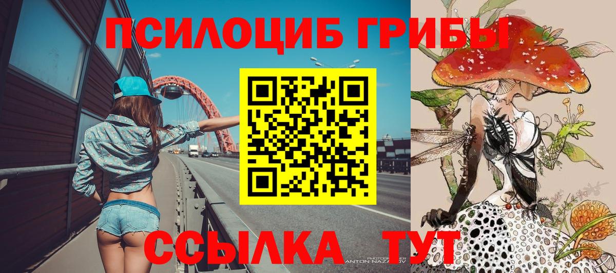 Псилоцибиновые грибы Psilocybine cubensis  Вход с VPN  где найти   Карабулак 